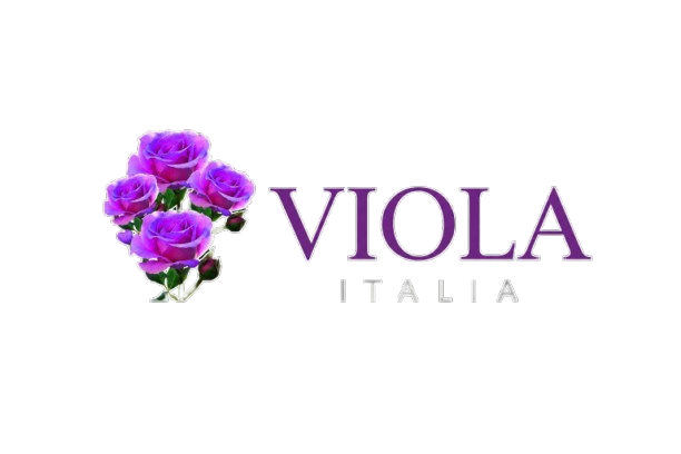 VIOLA